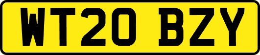 WT20BZY