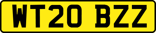 WT20BZZ
