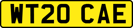 WT20CAE