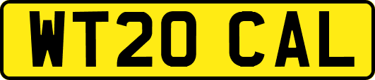 WT20CAL