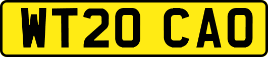 WT20CAO