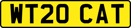 WT20CAT