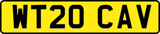 WT20CAV
