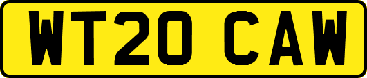 WT20CAW