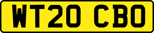 WT20CBO