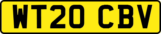 WT20CBV