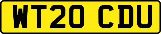 WT20CDU