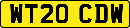 WT20CDW