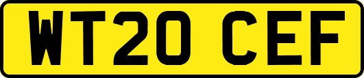 WT20CEF