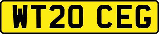 WT20CEG