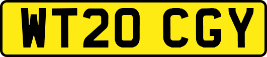 WT20CGY