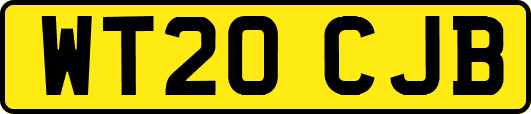 WT20CJB
