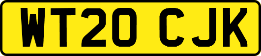WT20CJK
