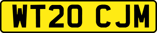 WT20CJM