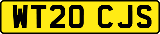 WT20CJS