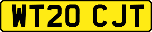 WT20CJT