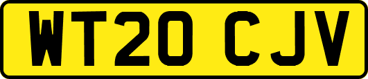 WT20CJV