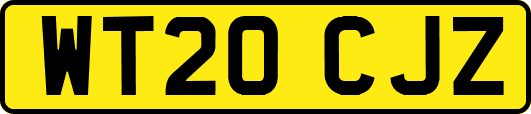 WT20CJZ