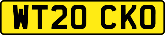 WT20CKO