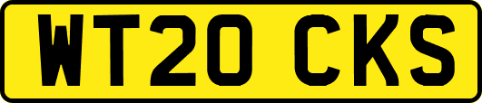 WT20CKS