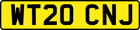 WT20CNJ
