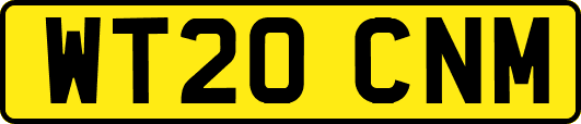 WT20CNM