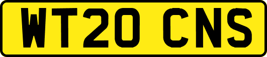 WT20CNS