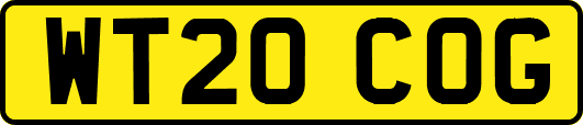 WT20COG
