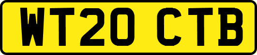 WT20CTB