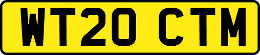 WT20CTM