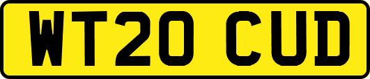 WT20CUD