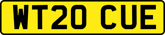 WT20CUE