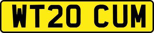WT20CUM