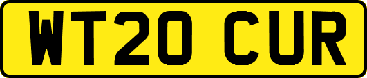 WT20CUR