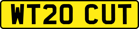 WT20CUT