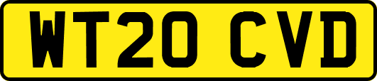 WT20CVD