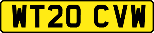 WT20CVW