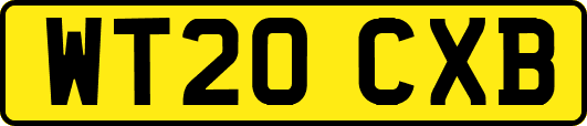 WT20CXB