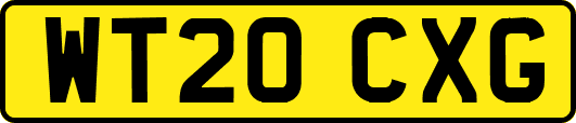 WT20CXG