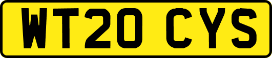 WT20CYS