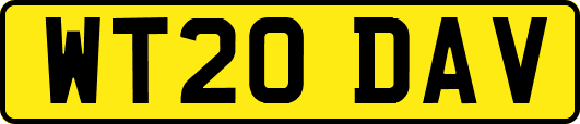 WT20DAV