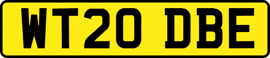 WT20DBE