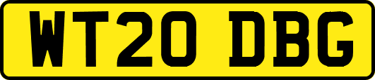 WT20DBG