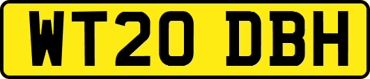 WT20DBH