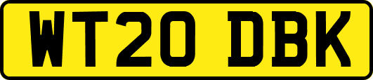 WT20DBK