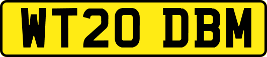 WT20DBM
