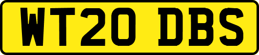 WT20DBS
