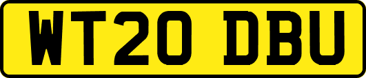 WT20DBU