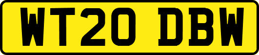 WT20DBW