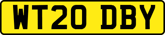 WT20DBY